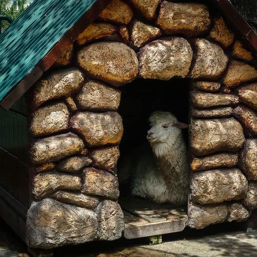 Photo #9797877
