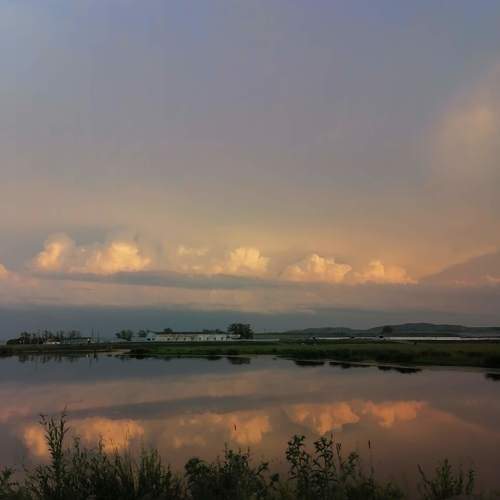 Photo #9797909
