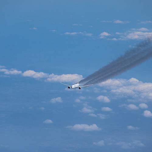 Photo #9797923
