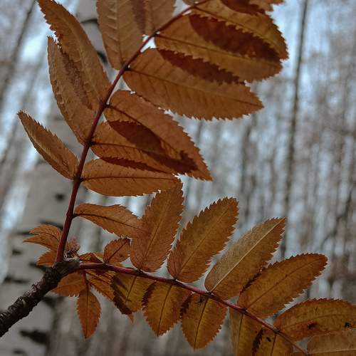 Photo #9797943