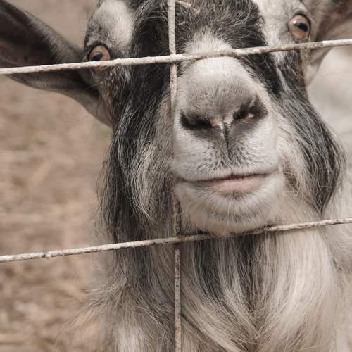 Photo #9798043