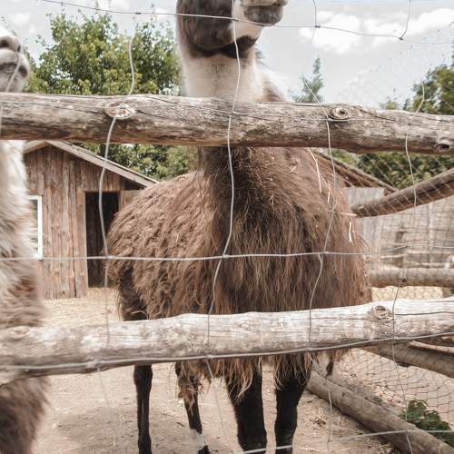 Photo #9798044