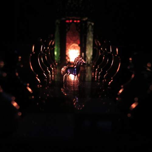 Photo #9798116