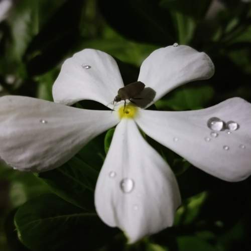 Photo #9798391