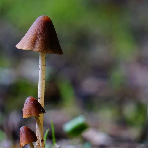 Photo #9798596