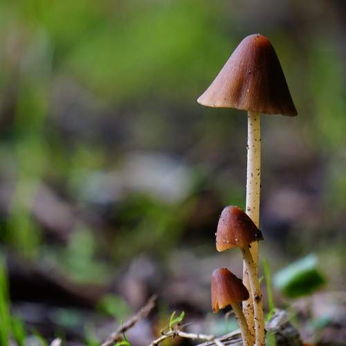 Photo #9798612