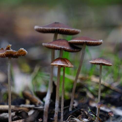 Photo #9798617