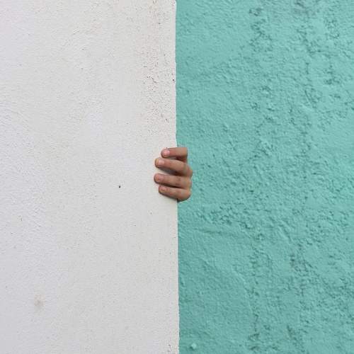 Photo #9798629