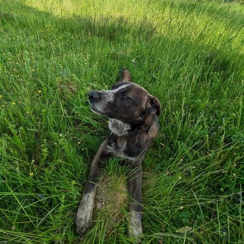 Photo #9798873