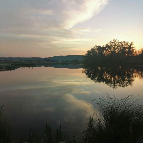 Photo #9799118