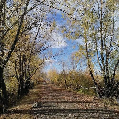 Photo #9799119