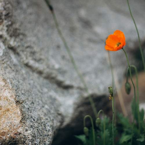 Photo #9799306