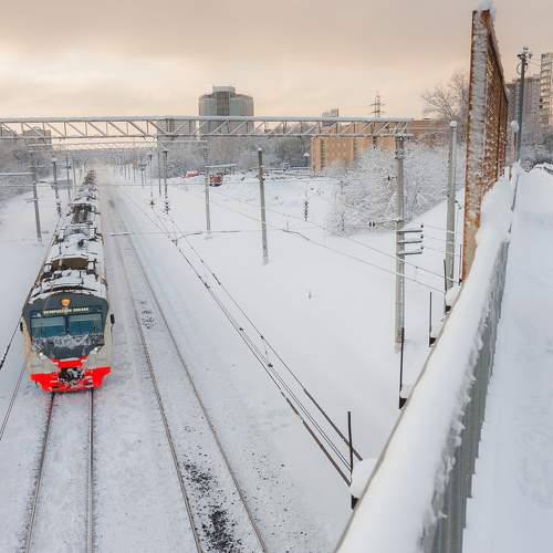 Собака