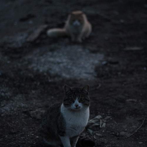 Photo #9799563