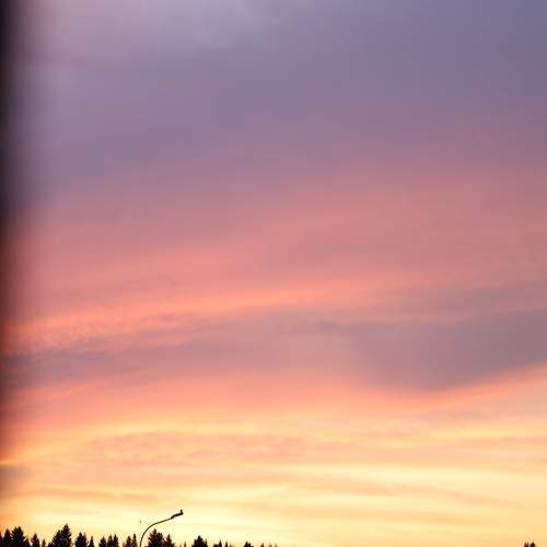 Photo #9799583