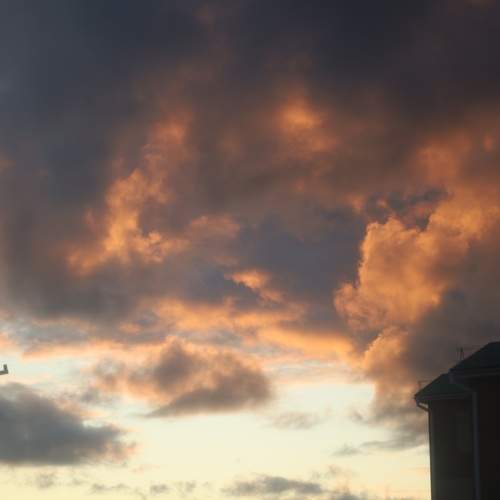 Photo #9799584