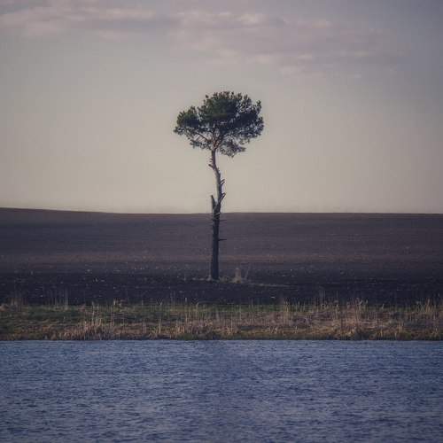 Photo #9799778