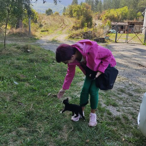 Photo #9799783