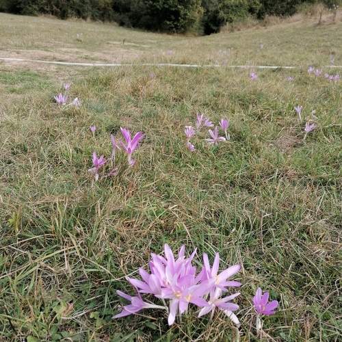 Photo #9799799