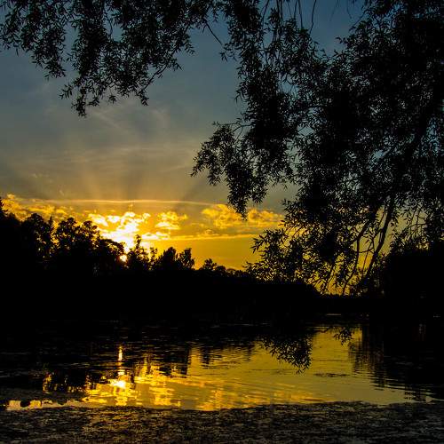 Photo #980595