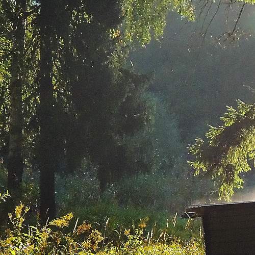 Photo #980597