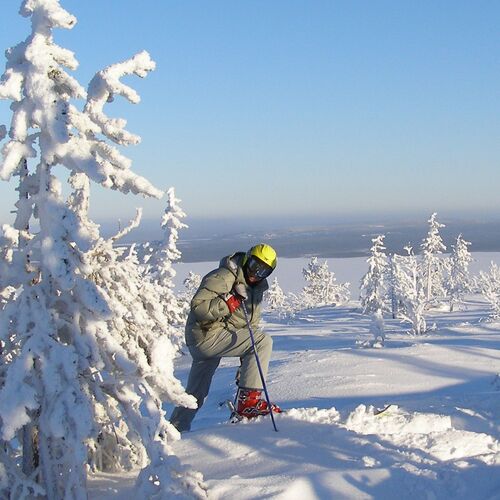 Photo #981345