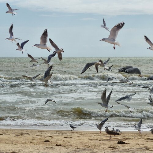 Photo #981976