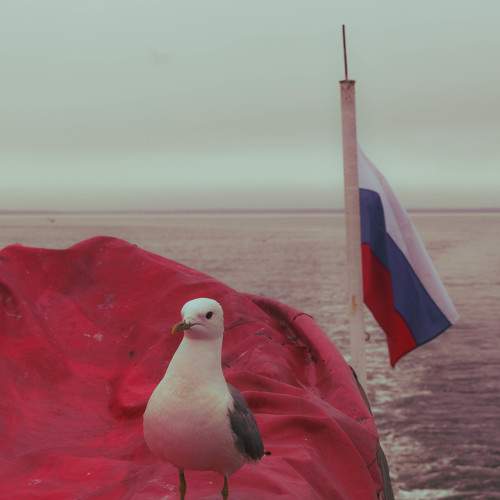 Фотография #9800121