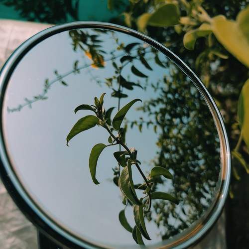 Photo #9800406