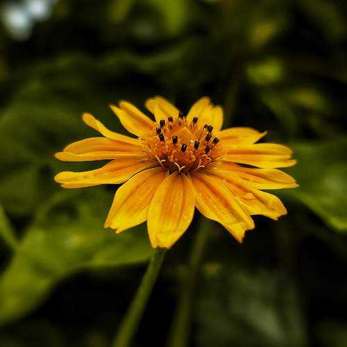 Photo #9800407