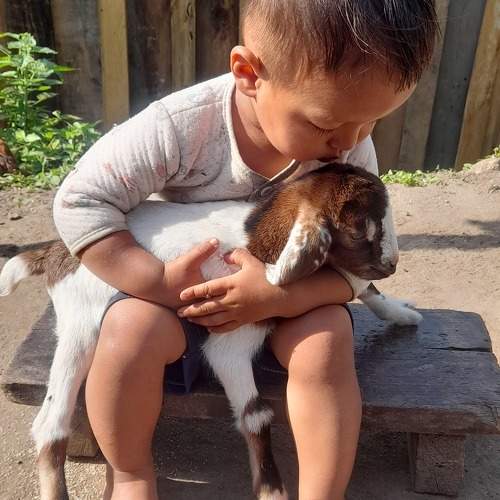 Photo #9800595