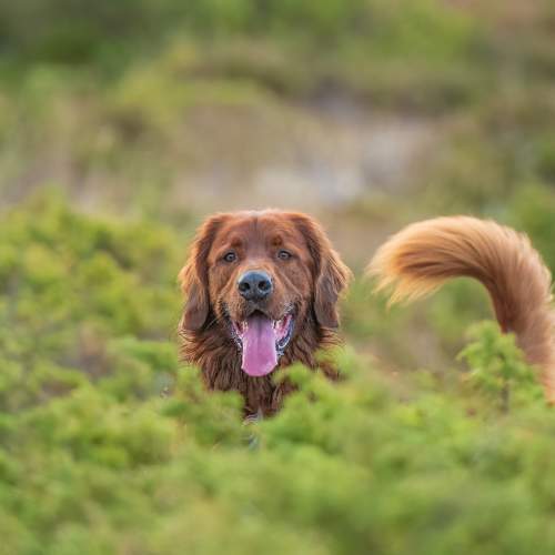 Photo #9800670