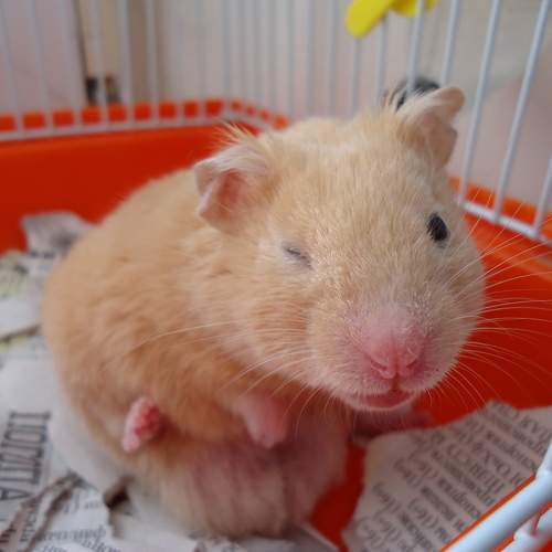Photo #9800688