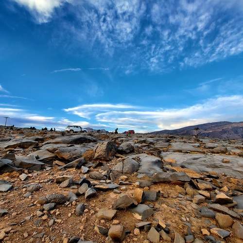 Photo #9800831