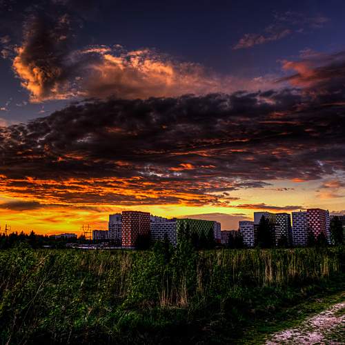 Photo #9800851