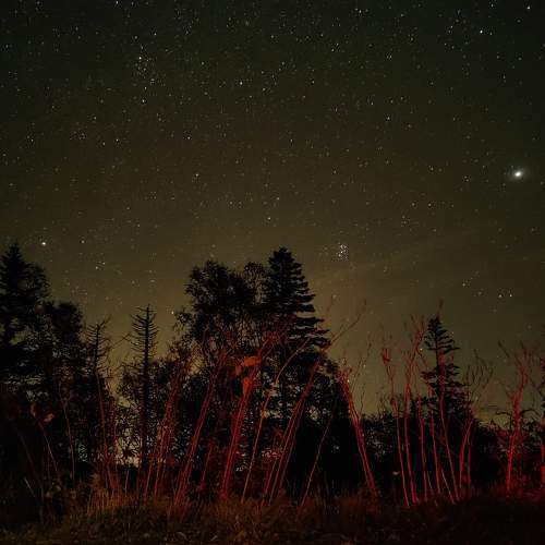 Photo #9800925