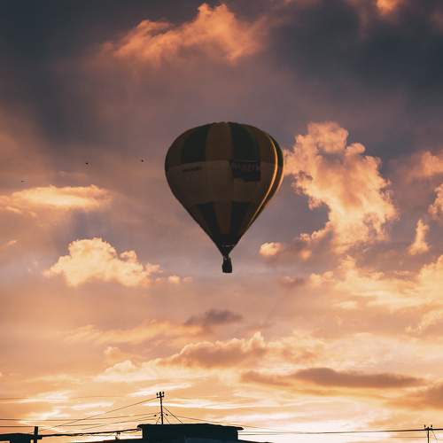 Photo #9801034