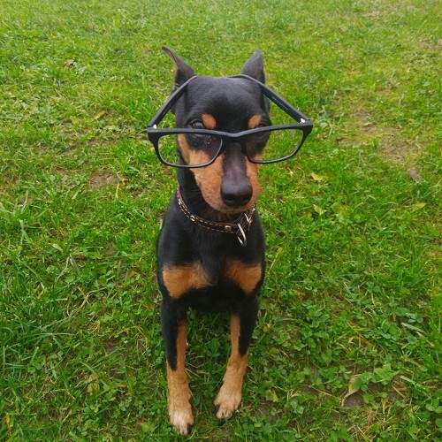 Photo #9801060