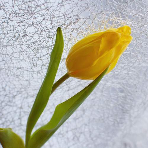 Photo #9801077