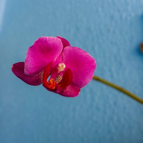 Photo #9801161