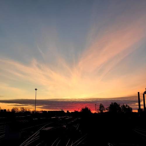 Photo #9801277