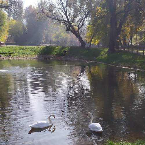 Photo #9801413