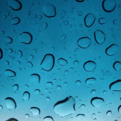 Photo #9801473