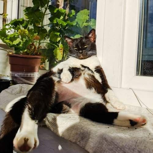 Photo #9801500