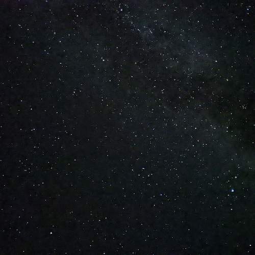 Photo #9801705