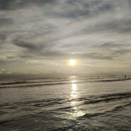 Photo #9801786