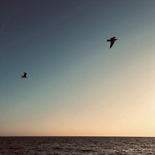 Photo #9802107