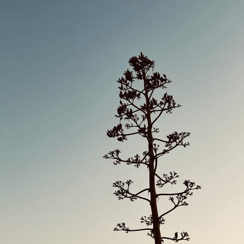Photo #9802139