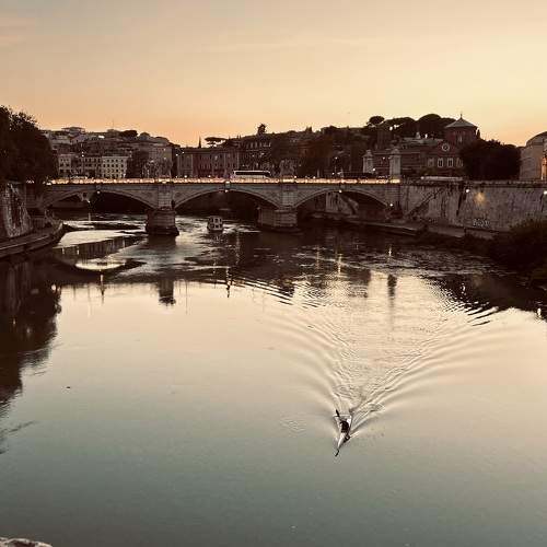Photo #9802153