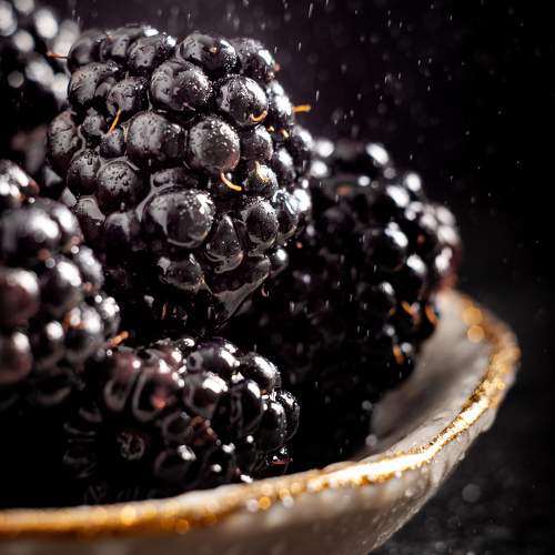 Photo #9802226